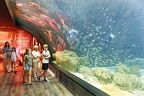 20220712 10 Aquarium Trocadéro